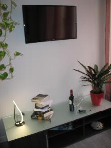 a table with books and a potted plant on it at Apartamento Portales in Logroño