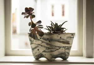 a vase sitting on a window sill with a plant at House of the Snowbird in Reykjavík
