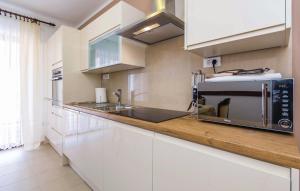 a kitchen with a counter with a toaster and a microwave at Apartments Valiza III Large apartment - 3 bedrooms and parking space i Apartments Valiza IV in Senj