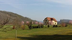 Příroda nedaleko bed and breakfast
