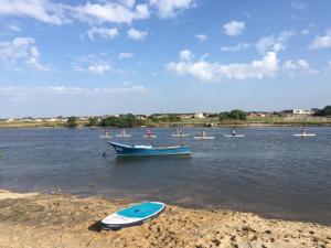 a group of people in boats in the water at Rua 5 House in Gafanha da Vagueira
