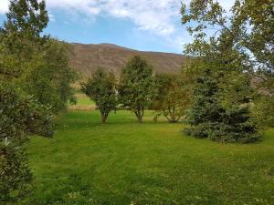 Foto sihtkohas Dalvík asuva majutusasutuse Húsabakki Guesthouse galeriist