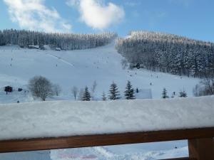 Fotografie z fotogalerie ubytování Pension Hollmann v destinaci Harrachov