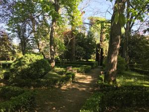 ścieżka przez park z drzewami i krzakami w obiekcie Gite Les Buis de Saint Martin w mieście Marssac-sur-Tarn