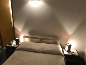 Postel nebo postele na pokoji v ubytování Hotel Antares