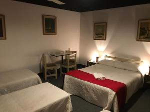 Postel nebo postele na pokoji v ubytování Hotel Antares