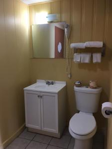 uma casa de banho com um WC branco e um lavatório. em Royal Inn em Early