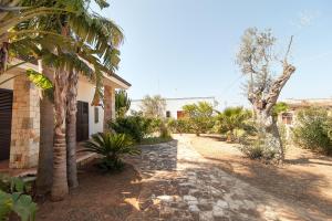 a pathway leading to a house with palm trees at Villa Rose in Marina di Mancaversa