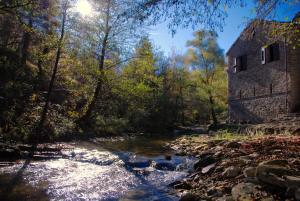 Loodusmaastik of the bed and breakfast lähedal