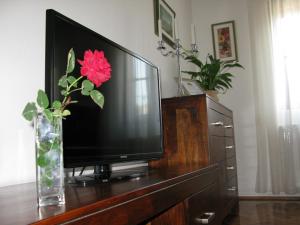 un televisor en un tocador con una flor en un jarrón en Holiday House Rastoke Pod Lipom, en Slunj