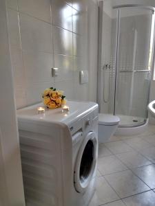 - un lave-linge blanc dans la salle de bains pourvue de toilettes dans l'établissement Apartment Milevoj, à Koromačno