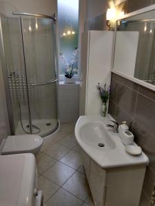 a bathroom with a sink and a shower and a toilet at Apartment Milevoj in Koromačno