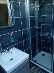 La salle de bains est pourvue d'un lavabo et d'une douche. dans l'établissement Chic'o Rail, à Saint-Omer