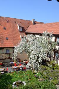 drzewo z białymi kwiatami przed budynkiem w obiekcie Hotel Gerberhaus w mieście Rothenburg ob der Tauber