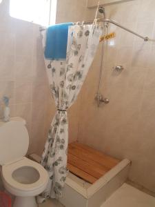 a bathroom with a shower with a toilet and a shower curtain at China Garden in Nairobi