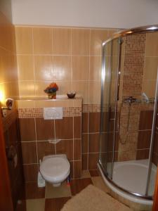 a small bathroom with a toilet and a shower at Apartmán Olomouc 2+KK in Olomouc