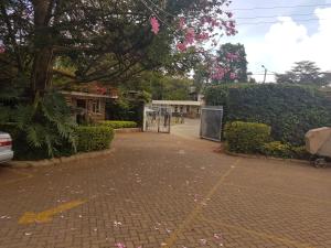 a driveway with a gate and bushes and trees at China Garden in Nairobi
