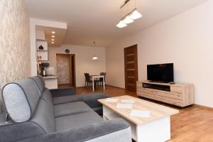 ein Wohnzimmer mit einem Sofa und einem TV in der Unterkunft Butas Druskupio in Birštonas