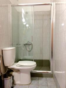 a bathroom with a toilet and a shower at Platanos Rooms in Anopoli Sfakion