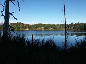 a view of a lake with trees in the background at Dos Bahias Lake Resort in Villa La Angostura