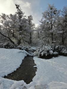 a snow covered forest with trees and a stream at Dos Bahias Lake Resort in Villa La Angostura