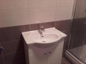 La salle de bains est pourvue d'un lavabo blanc et d'une douche. dans l'établissement House Pribić, à Vrelo Koreničko