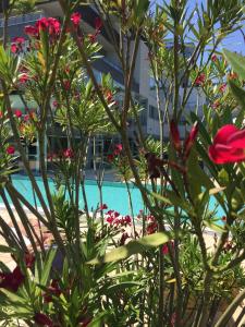 Blick auf den Pool von hinter einigen Blumen in der Unterkunft Golf & Wellness Apartment 34. in Bad Waltersdorf