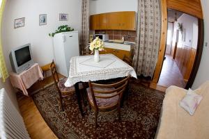 Kuchyň nebo kuchyňský kout v ubytování Pension Karst Blansko