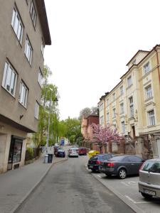 een stadsstraat met geparkeerde auto's en gebouwen bij Old Town Apartment Pellicova in Brno
