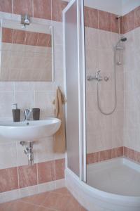 a bathroom with a sink and a shower at Apartmá Kateřina Velké Losiny in Velké Losiny