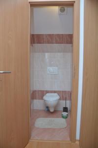 a bathroom with a toilet and a door open at Apartmá Kateřina Velké Losiny in Velké Losiny