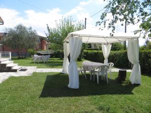 A garden outside La Mimosa Chic