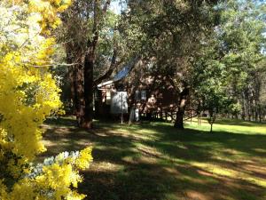una casa in mezzo a un campo con alberi di Beyonderup Falls Adult Retreat a Nannup