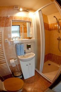 a bathroom with a sink and a shower and a toilet at Penzion Macocha in Blansko