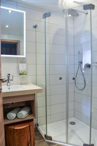 een badkamer met een douche en een wastafel bij Landhotel Schnupp in Neudrossenfeld