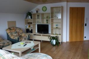 ein Wohnzimmer mit einem Sofa und einem TV in der Unterkunft Wirtsbauers-Ferienwohnung in Merklingen