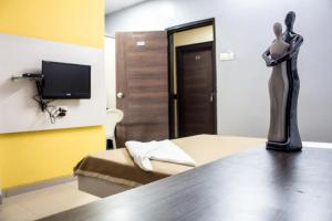TV a/nebo společenská místnost v ubytování Hotel Aashish Deluxe Pet Friendly