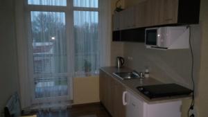 kuchnia ze zlewem i kuchenką mikrofalową oraz okno w obiekcie Apartmá Anglická we Franciszkowych Łaźniach +19 zdjęć