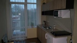 a kitchen with a sink and a microwave and a window at Apartmá Anglická in Františkovy Lázně