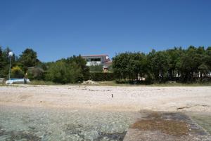 a sandy beach with trees and a house in the background at Apartments Jurjevic in Petrcane
