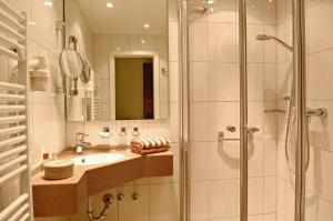 a bathroom with a shower and a sink at Alte Weinschänke in Ellenz-Poltersdorf