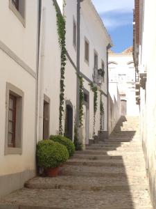 Fotografie z fotogalerie ubytování Quinta Luz do Sol v destinaci Moncarapacho