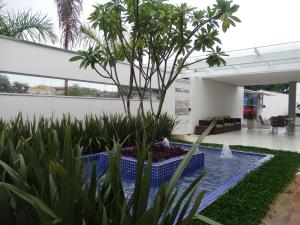 a palm tree in a pool in a house at Cynn Hotels in São José dos Campos