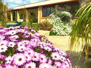 Zahrada ubytování Agriturismo Le Tagliate