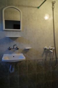 a bathroom with a sink and a shower at Guestrooms Ross in Veliko Tŭrnovo