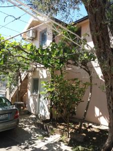 a house with a tree in front of it at Apartmani na moru in Bar