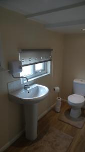 a bathroom with a sink and a toilet at Lord Byron Lodge in Blidworth