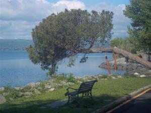 a park bench sitting on the grass near a lake at Casa Beatrice in Bolsena