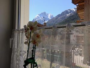 Nespecifikovaný výhled na hory nebo výhled na hory při pohledu z bed and breakfast
