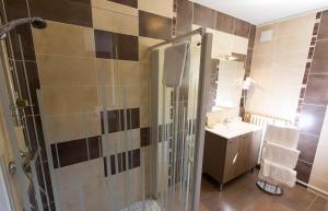 a bathroom with a shower and a sink at Auberge de la Terrasse in Villersexel